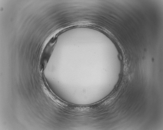 X0000051250939200507152146