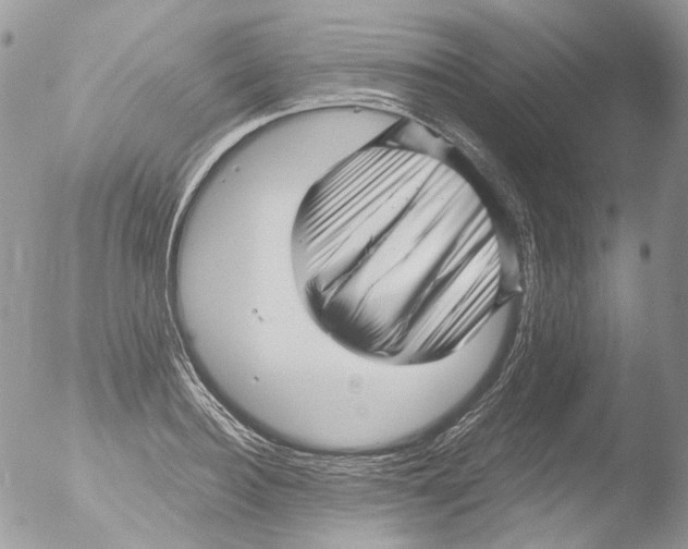 X0000051250940200507152146