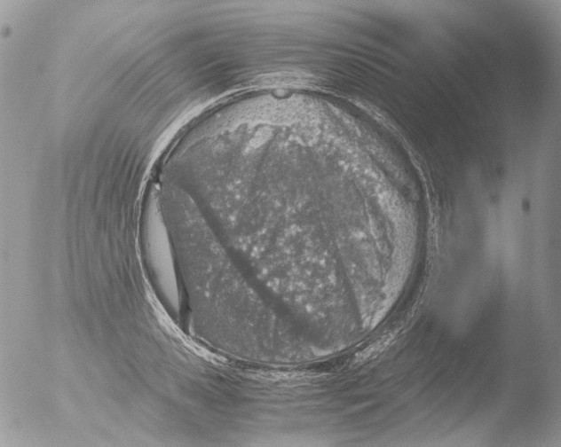 X0000051250941200507152146