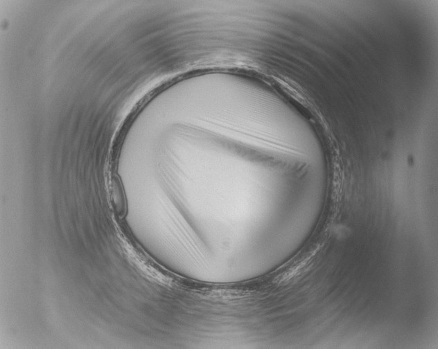 X0000051250942200507152146