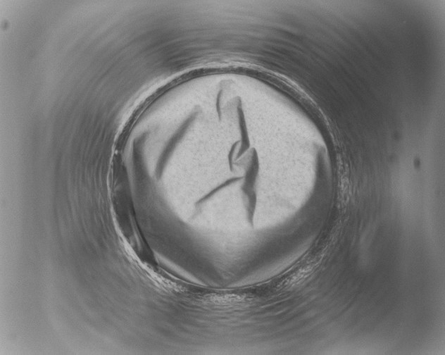 X0000051250943200507152146