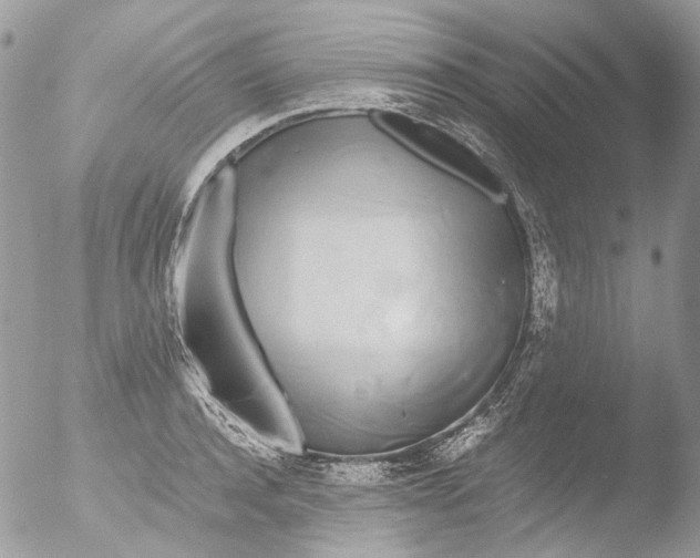 X0000051250944200507152146