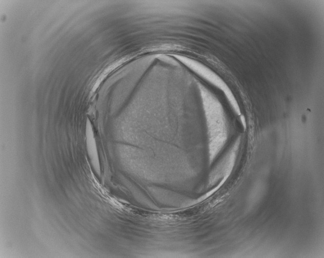 X0000051250945200507152146