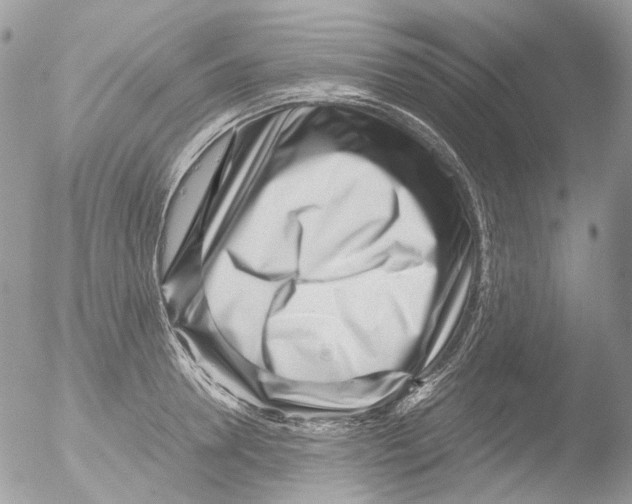 X0000051250946200507152146