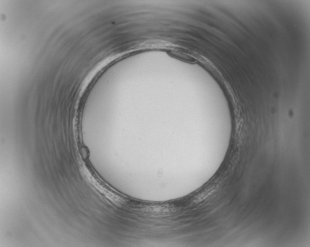 X0000051250947200507152146