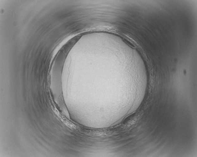 X0000051250948200507152146