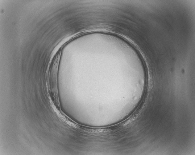 X0000051250949200507152146