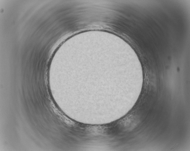 X0000051250950200507152146