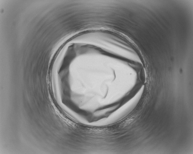 X0000051250951200507152146