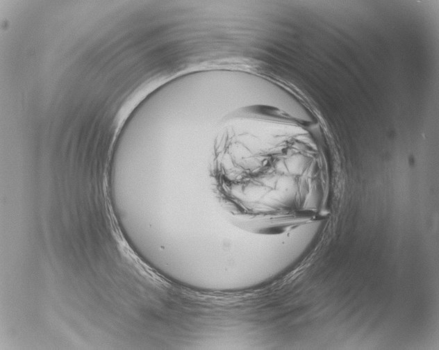 X0000051250952200507152146