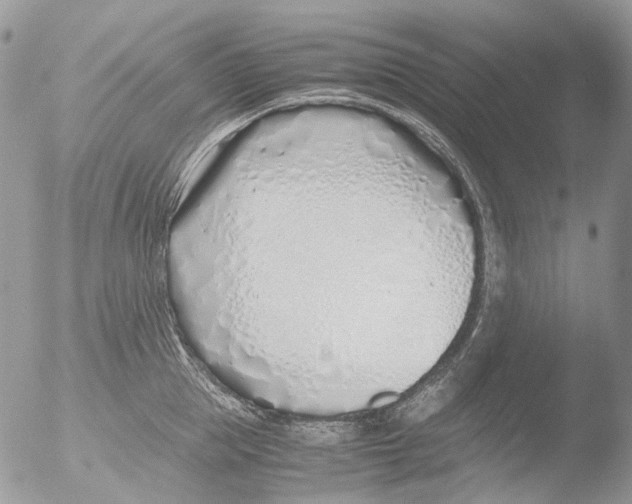 X0000051250953200507152146