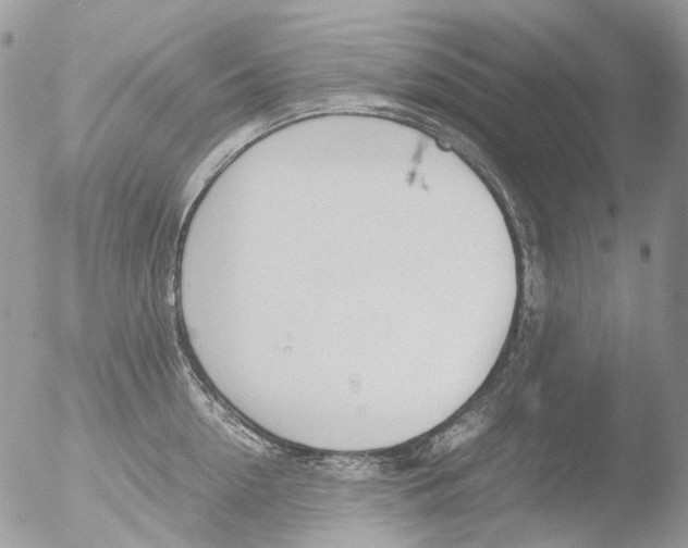 X0000051250954200507152146