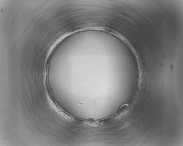 X0000051250955200507152146