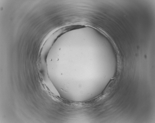 X0000051250956200507152146