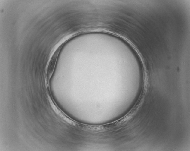 X0000051250957200507152146