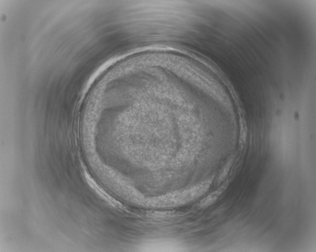 X0000051250958200507152146