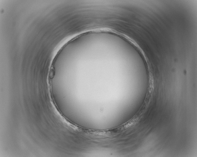 X0000051250959200507152146