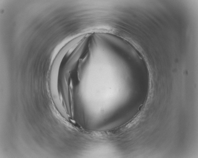 X0000051250960200507152146