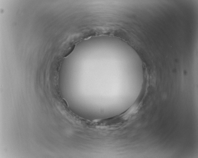 X0000051250961200507152145