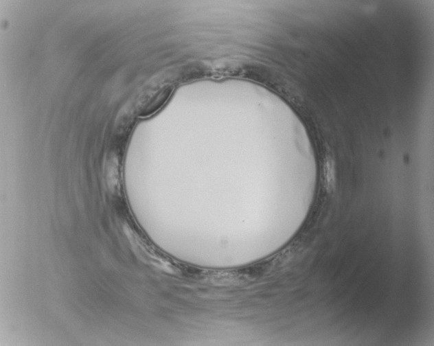 X0000051250963200507152145