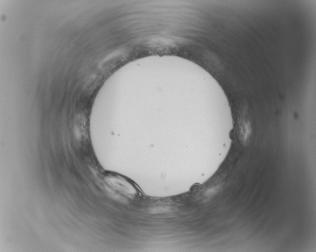 X0000051250964200507152145