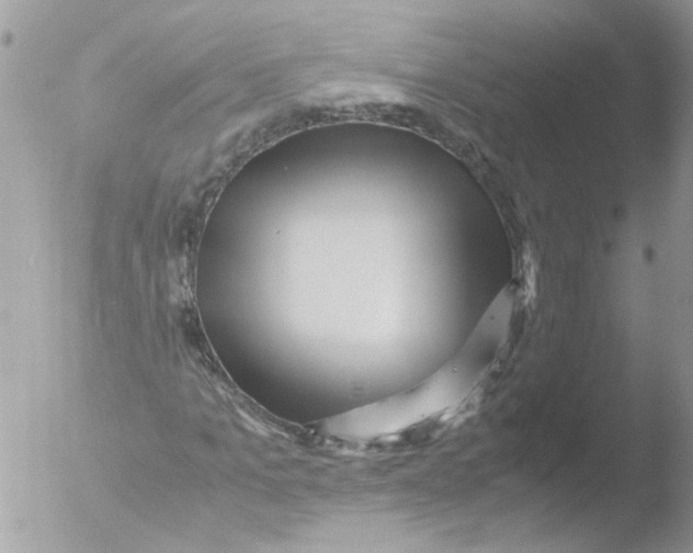 X0000051250965200507152145