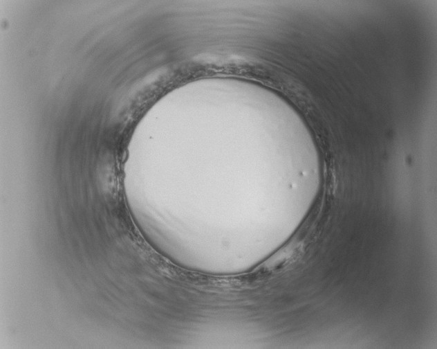 X0000051250966200507152145