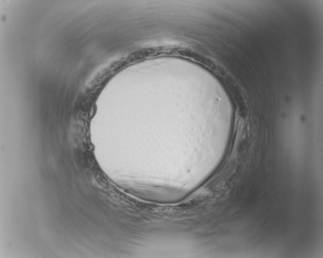 X0000051250967200507152145