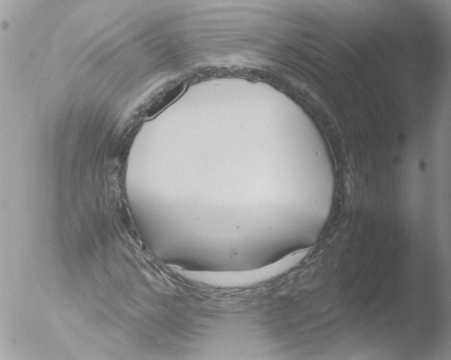 X0000051250968200507152145