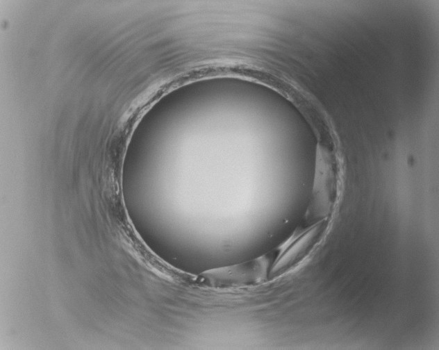 X0000051250969200507152145