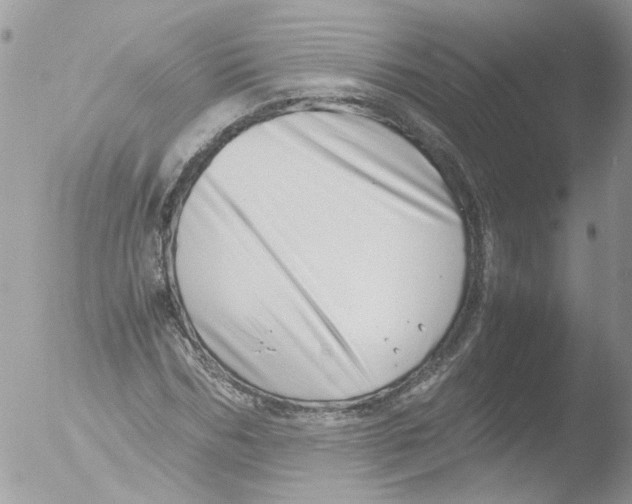 X0000051250970200507152145