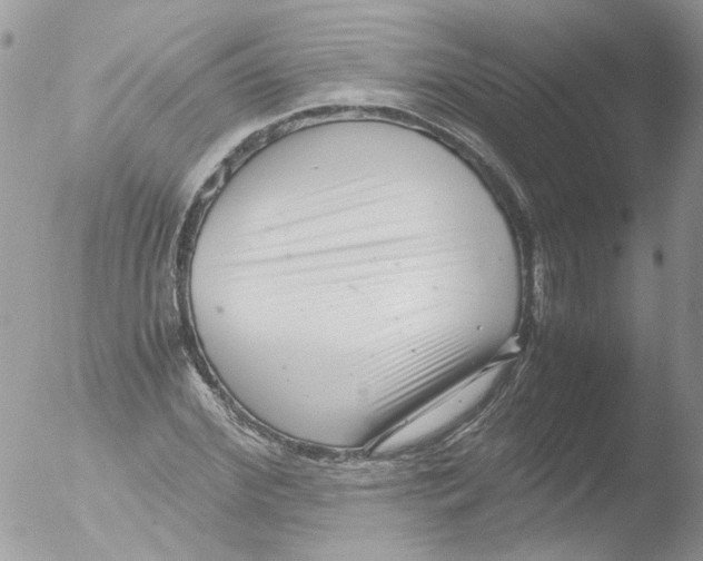 X0000051250972200507152145