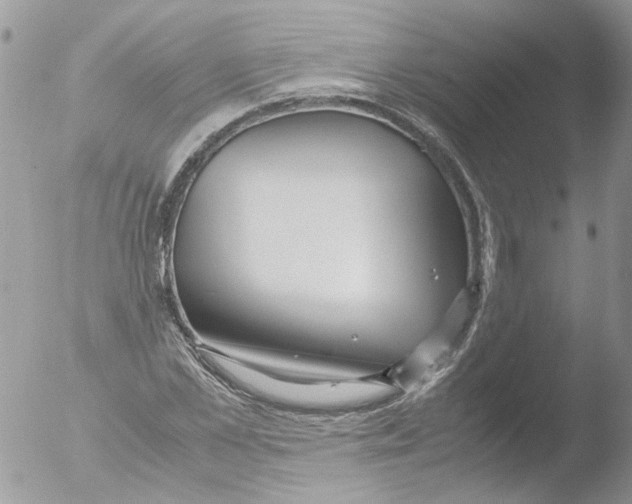 X0000051250973200507152145