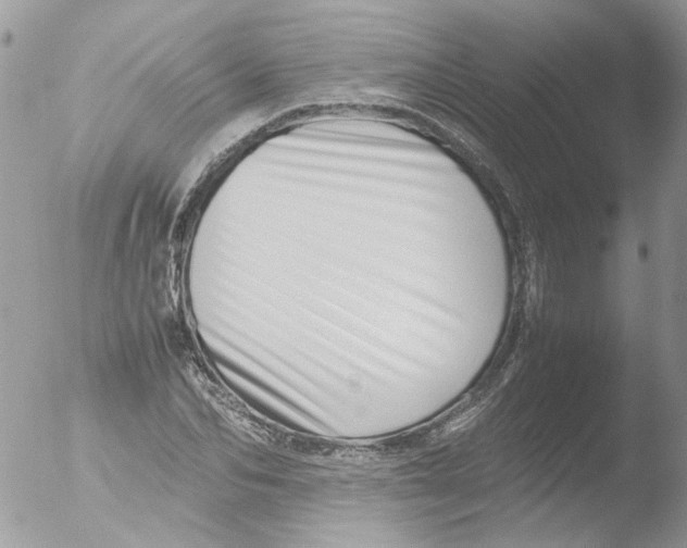 X0000051250974200507152145