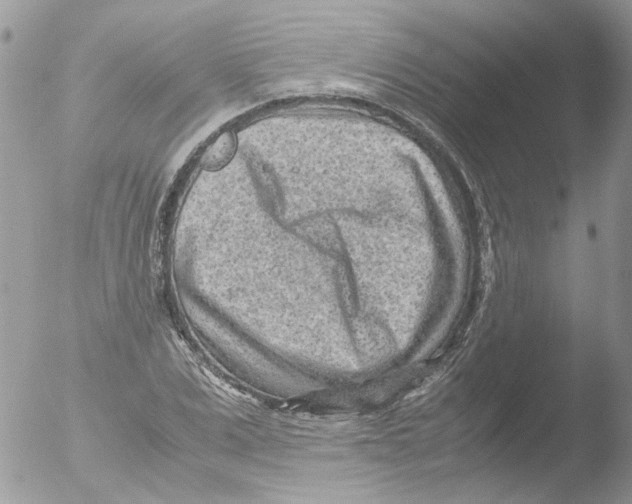 X0000051250975200507152145