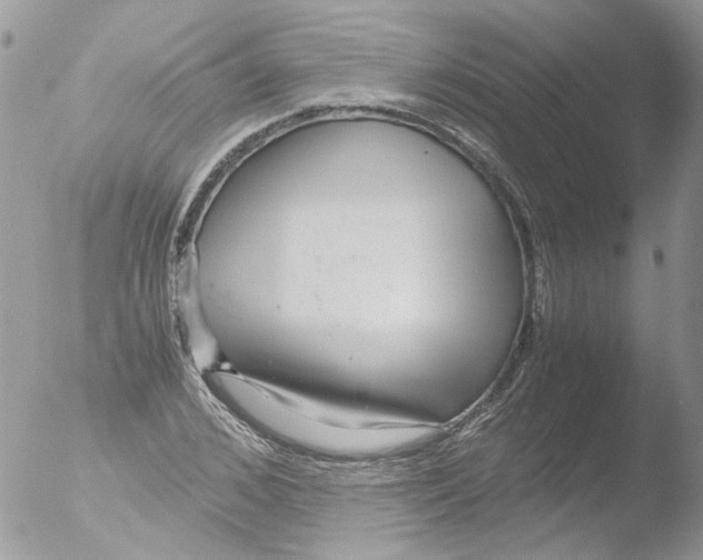 X0000051250976200507152145