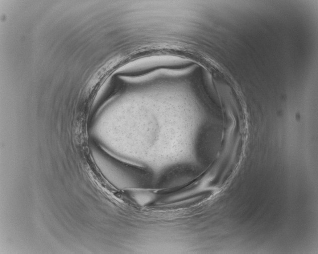 X0000051250977200507152145