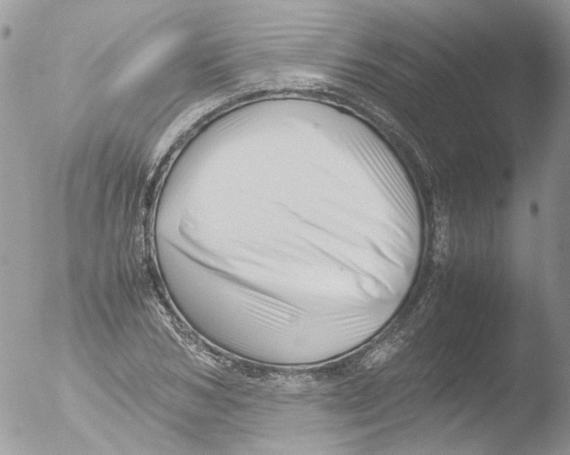 X0000051250978200507152145