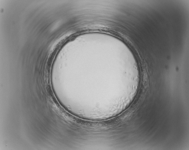 X0000051250979200507152145