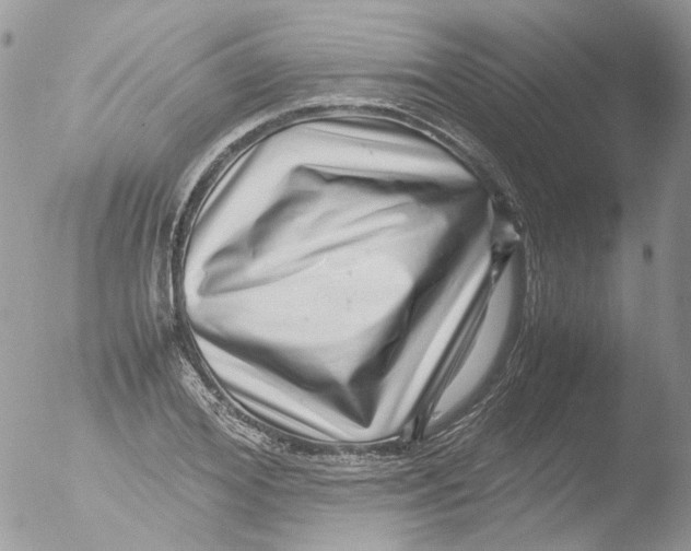 X0000051250980200507152145