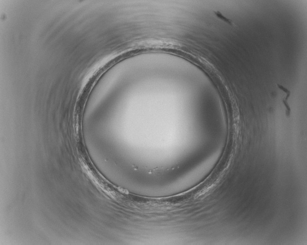 X0000051250981200507152145