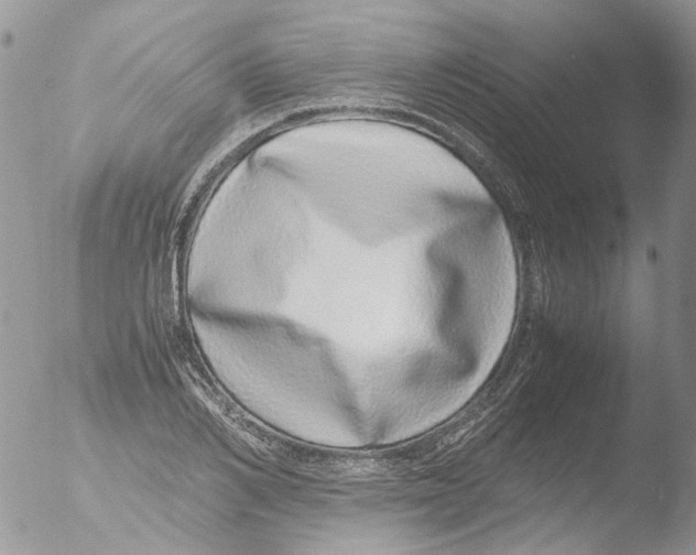 X0000051250982200507152145