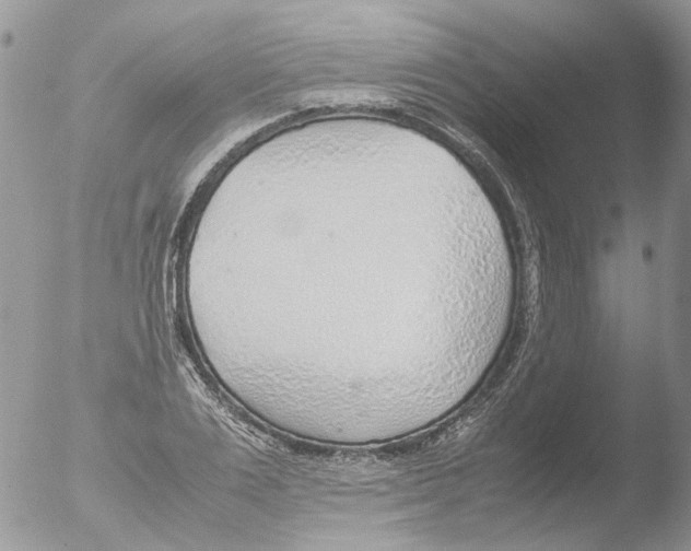 X0000051250983200507152145