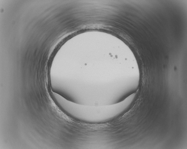 X0000051250984200507152145