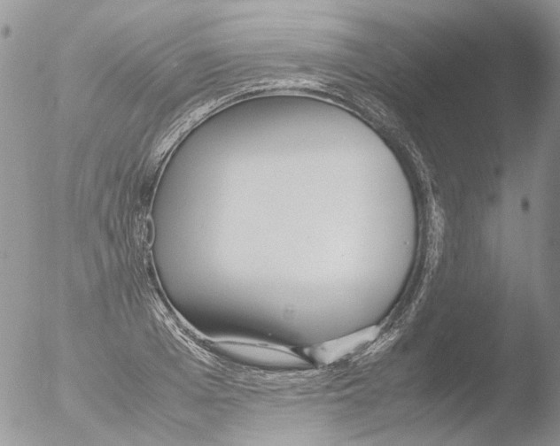 X0000051250985200507152145