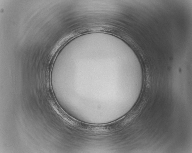 X0000051250986200507152145