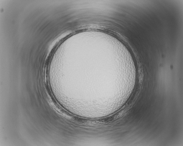 X0000051250987200507152145