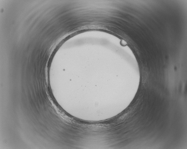 X0000051250988200507152145