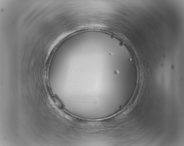 X0000051250989200507152145