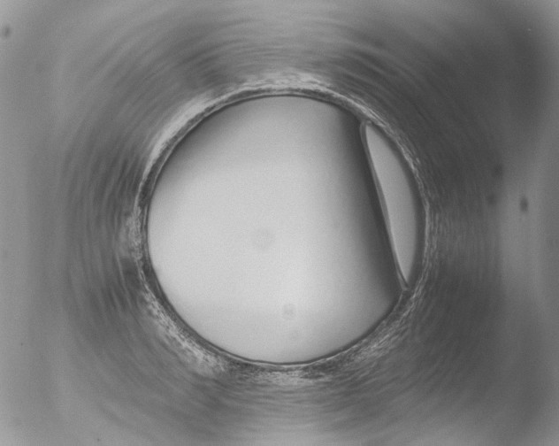 X0000051250990200507152145